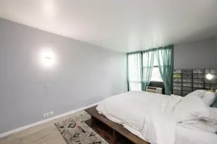 3021 S Michigan Ave, Chicago, IL 60616 - Photo 12