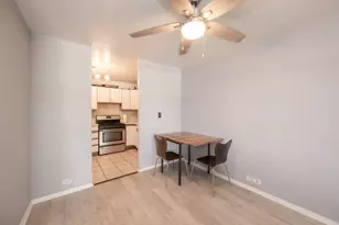 3021 S Michigan Ave, Chicago, IL 60616 - Photo 10