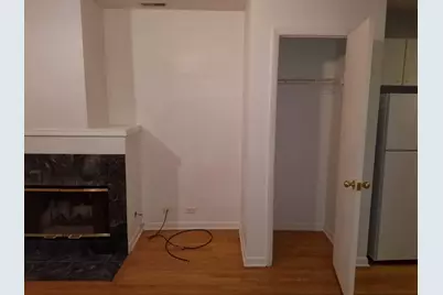 1507 W George Street, Chicago, IL 60657 - Photo 24