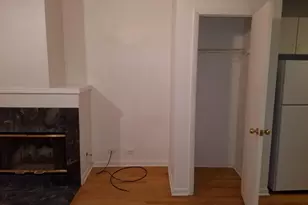 1507 W George St, Chicago, IL 60657 - Photo 24