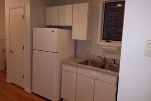 1507 W George St, Chicago, IL 60657 - Photo 26