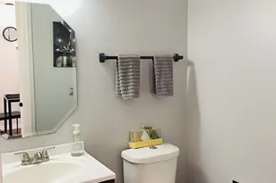 1385 Redbridge Ct, Grayslake, IL 60030 - Photo 14