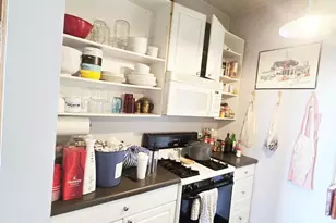 1808 W Armitage St, Chicago, IL 60647 - Photo 18