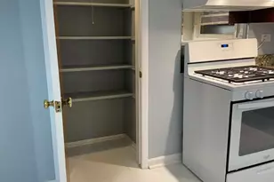 10300 S Ave F Ave, Chicago, IL 60617 - Photo 8
