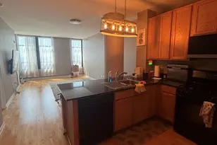 1255 S State St, Chicago, IL 60605 - Photo 8