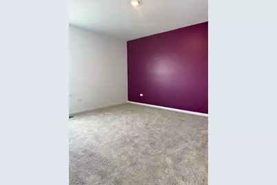 1017 Dr. John Burkey Drive, Algonquin, IL 60102 - Photo 16
