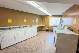 250 W Parliament Pl, Mount Prospect, IL 60056 - Photo 40