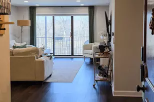 250 W Parliament Pl, Mount Prospect, IL 60056 - Photo 12