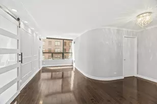 110 E Delaware Pl, Chicago, IL 60611 - Photo 4