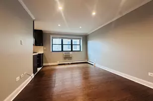 541 W Oakdale Ave, Chicago, IL 60657 - Photo 4