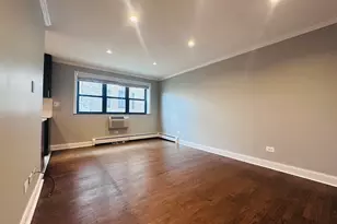 541 W Oakdale Ave, Chicago, IL 60657 - Photo 6