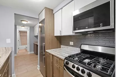 541 W Oakdale Avenue #102, Chicago, IL 60657 - Photo 2