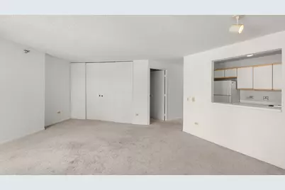 480 N McClurg Court #412, Chicago, IL 60611 - Photo 6