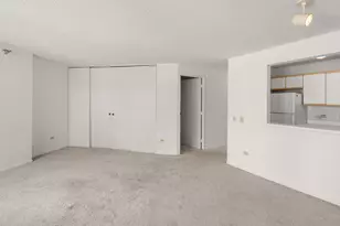 480 N McClurg Ct, Chicago, IL 60611 - Photo 6