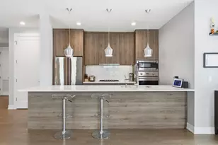 236 S Racine Ave, Chicago, IL 60607 - Photo 4