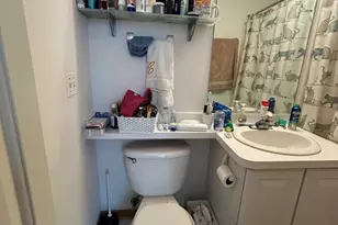 867 W Buckingham Pl, Chicago, IL 60657 - Photo 16