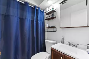 541 W Oakdale Ave, Chicago, IL 60657 - Photo 8