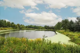 1245 Tuscany Dr, Streamwood, IL 60107 - Photo 30