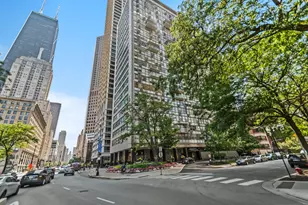 1000 N Lake Shore Dr, Chicago, IL 60611 - Photo 1