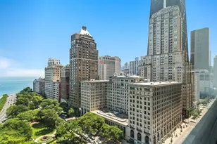 1000 N Lake Shore Dr, Chicago, IL 60611 - Photo 6