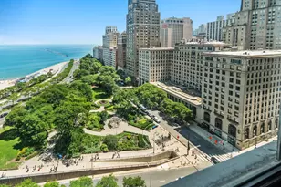 1000 N Lake Shore Dr, Chicago, IL 60611 - Photo 10