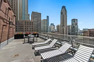 1000 N Lake Shore Dr, Chicago, IL 60611 - Photo 28