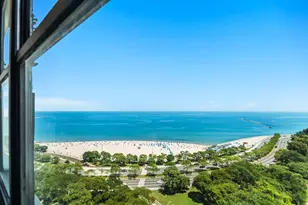 1000 N Lake Shore Dr, Chicago, IL 60611 - Photo 14