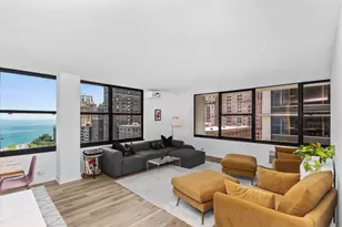 1000 N Lake Shore Dr, Chicago, IL 60611 - Photo 16