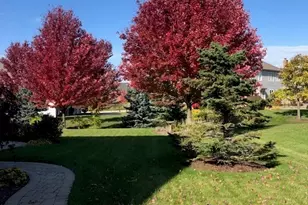 29 Glacier Cir, South Barrington, IL 60010 - Photo 44