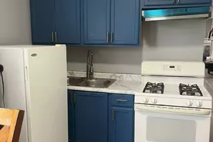 1040 N Lawndale Ave, Chicago, IL 60651 - Photo 4