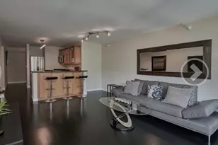 2 E Erie Ave, Chicago, IL 60611 - Photo 14