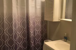 205 W Miner St, Arlington Heights, IL 60005 - Photo 10