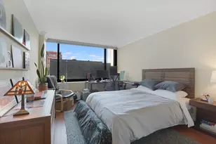 1555 N Sandburg Terrace, Chicago, IL 60610 - Photo 14