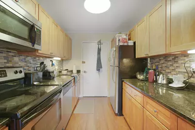 1555 N Sandburg Terrace #201, Chicago, IL 60610 - Photo 6