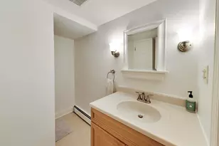 441 S Belmont Ave, Arlington Heights, IL 60005 - Photo 28