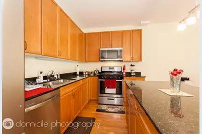 1421 S Halsted Street #2B, Chicago, IL 60607 - Photo 8