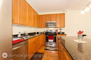 1421 S Halsted St, Chicago, IL 60607 - Photo 8