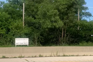 39230 N US Hwy 41 Hwy N, Wadsworth, IL 60083 - Photo 1