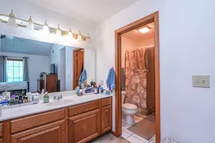 4 Dani Ct, Manteno, IL 60950 - Photo 18