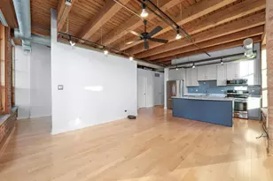 1133 S Wabash Ave, Chicago, IL 60605 - Photo 6