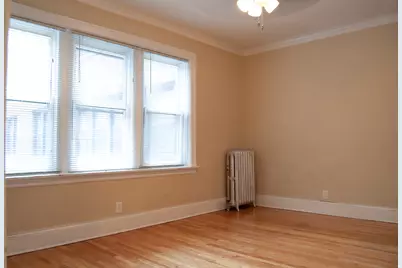 4819 N Springfield Avenue #1, Chicago, IL 60625 - Photo 2