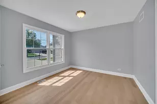 13217 Millbank Dr, Plainfield, IL 60585 - Photo 10