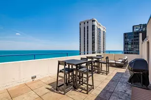 221 E Walton Pl, Chicago, IL 60611 - Photo 20