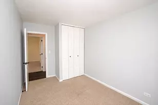 510 Burr Oak Dr, Lake Zurich, IL 60047 - Photo 30