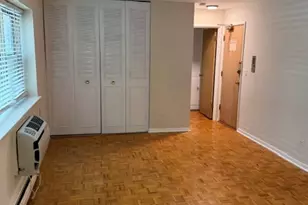 420 W Aldine Ave, Chicago, IL 60657 - Photo 2