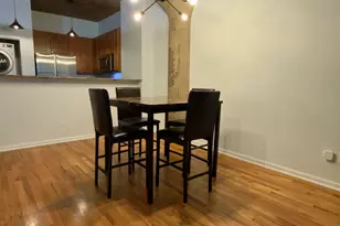 1070 W 15th St, Chicago, IL 60608 - Photo 6
