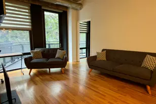 1070 W 15th St, Chicago, IL 60608 - Photo 8