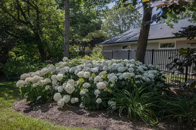 921 Ray Street, Geneva, IL 60134 - Photo 30