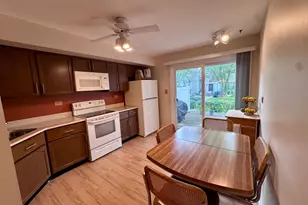221 W Golfview Terrace, Palatine, IL 60067 - Photo 10