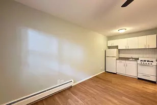 4610 N Dover St, Chicago, IL 60640 - Photo 10